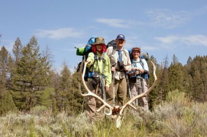Yellowstone Guided Tours